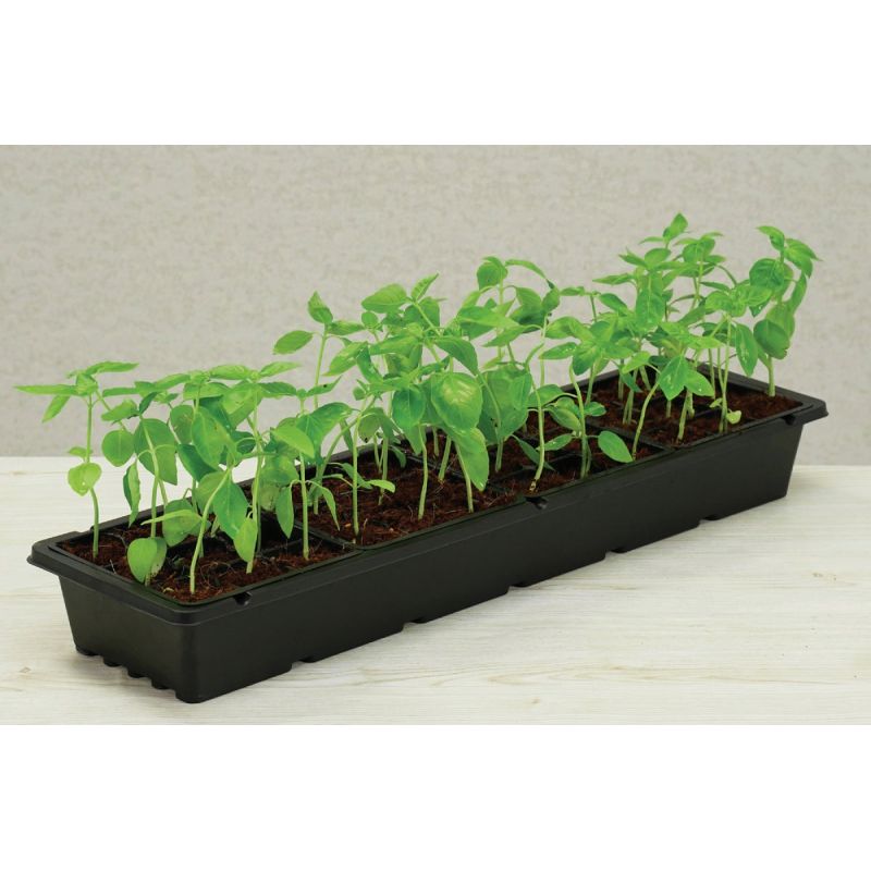 PlantBest Windowsill Seed Starter Kit