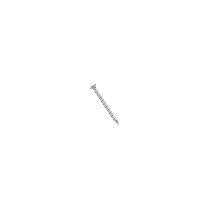 National Hardware N278-309 Wire Nail, 7/8 in L, Steel, Galvanized, 1 PK