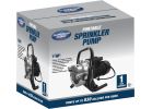 Superior Pump Portable Sprinkler Pump 1 HP