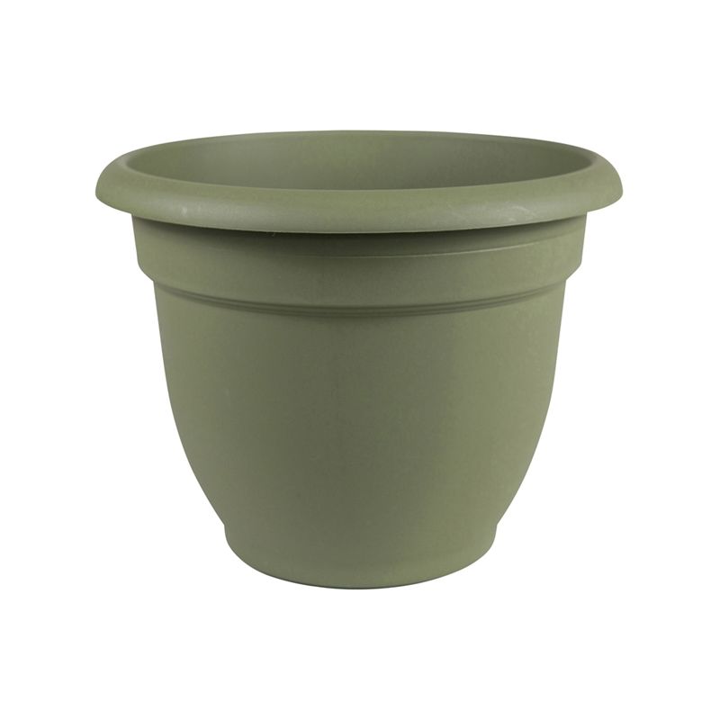 Bloem 20-56406 Planter, 6 in Dia, 5-1/4 in H, 6-1/2 in W, Round, Plastic, Living Green 0.5 Gal, Living Green