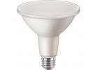 Do it PAR38 Medium LED Floodlight Light Bulb