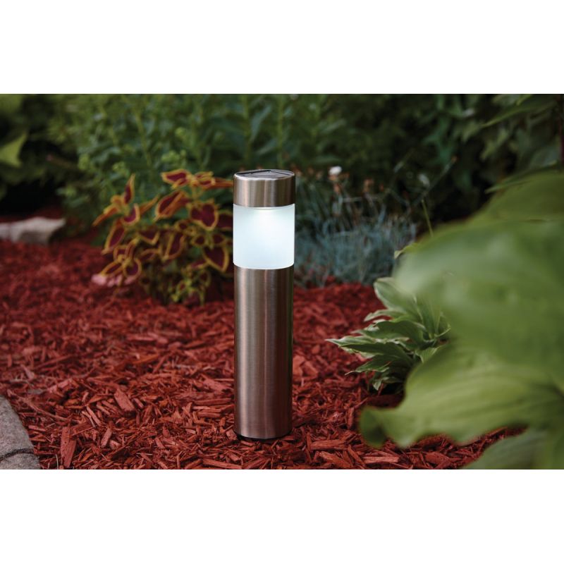 Outdoor Expressions Stainless Steel Bollard Solar Path Light Stainless Steel (Pack of 12)