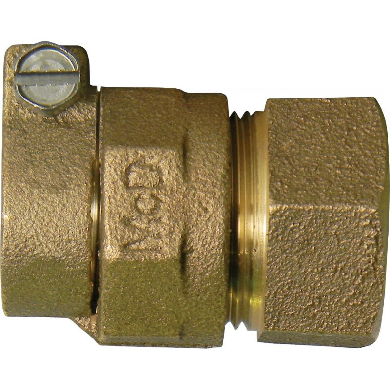 A Y McDonald Brass FIPT Polyethylene Pipe Connector 1 In. CTS X 1 In. FIPT