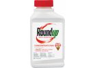 Roundup Concentrate Plus Weed &amp; Grass Killer 1 Pt., Pourable