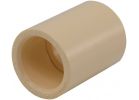 Charlotte Pipe CPVC Coupling w/Stop 1/2 In. (Pack of 25)