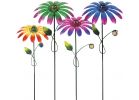 Exhart Daisy Garden Stake Assorted (Pack of 12)