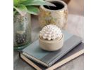Candle Warmers Airome Porcelain Passive Essential Oil Diffuser 10 Ml, Beige