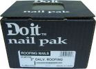 Do it Hot Galvanized Roofing Nail 6d