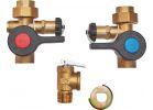 Watts Tankless Relief Valve 3/4 In.