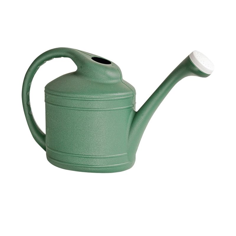 Southern Patio WC8108FE Watering Can, 2 gal Can, Resin, Fern Fern