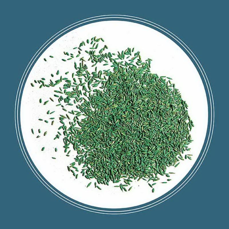 Pennington 100543712 Grass Seed and Fertilizer Mix, Pacific Northwest, 3 lb Bag, 8/PK