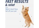 PetArmor CapAction Cat Flea &amp; Tick Treatment 6 Ct., Oral
