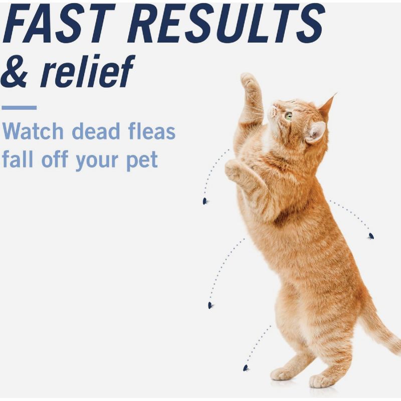 PetArmor CapAction Cat Flea &amp; Tick Treatment 6 Ct., Oral