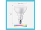 Wiz BR30 Smart LED Light Bulb