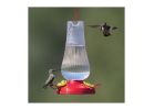 Perky-Pet 285 Bird Feeder, Fluted Oil Lamp, 20 oz, Nectar, 3-Port/Perch, Plastic, 8.8 in H
