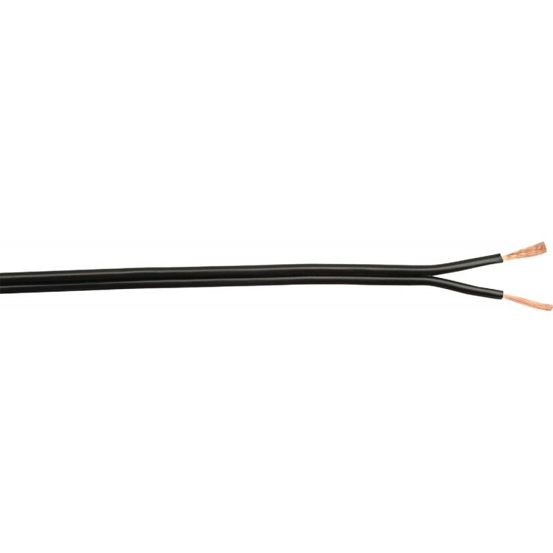 Coleman Cable Lamp Cord Black, 10A