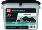 Grip-Rite Electrogalvanized Roof Nail 5d