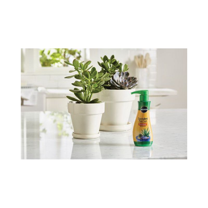 Miracle-Gro 2000532 Succulent Plant Food, 8 oz Bottle, Liquid, 0.5-1-1 N-P-K Ratio Hazy/Slightly Hazy