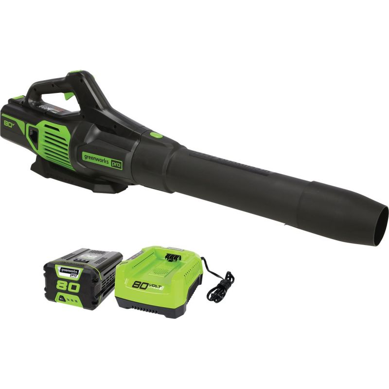Greenworks Cordless Blower w/Rapid Charger