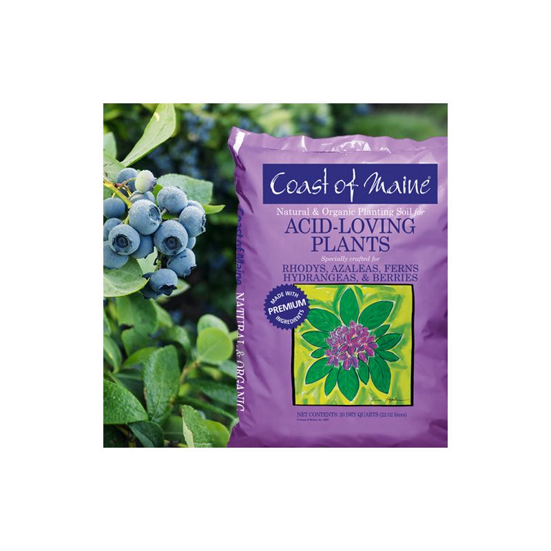Coast of Maine 1CBALS20QT Acid-Loving Plants Soil, 20 qt