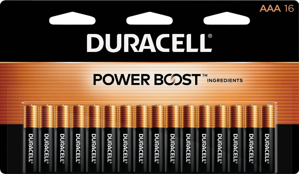Buy Duracell CopperTop AAA Alkaline Battery 1150 MAh