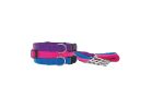 Ruffin&#039;It 34143 Adjustable Dog Collar, 26 in L, 1 in W, Nylon, 1/EA