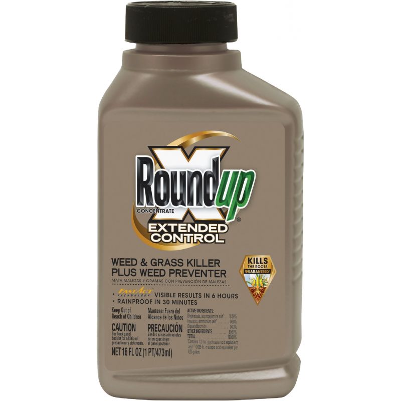 Roundup Extended Control Weed &amp; Grass Killer Plus Weed Preventer 16 Oz., Pourable