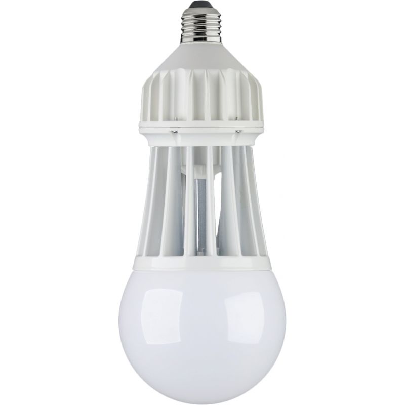 Stonepoint LED Lighting Big Bulb LED Special Purpose Light Bulb