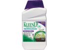 Bonide KleenUp High Efficiency Formula Weed &amp; Grass Killer 1 Qt., Spray