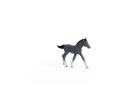 Schleich-S Horse Club 13944 Animal Toy, 5 to 12 Years, Trakehner Foal