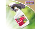 Bonide 806 Bacillus Thuringiensis, Liquid, Spray Application, 1 qt Tan