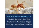 BioAdvanced 700800A Concentrated Insect and Fire Ant Killer, Liquid, Spray Application, Outdoor, 32 oz Bottle Light Beige/White