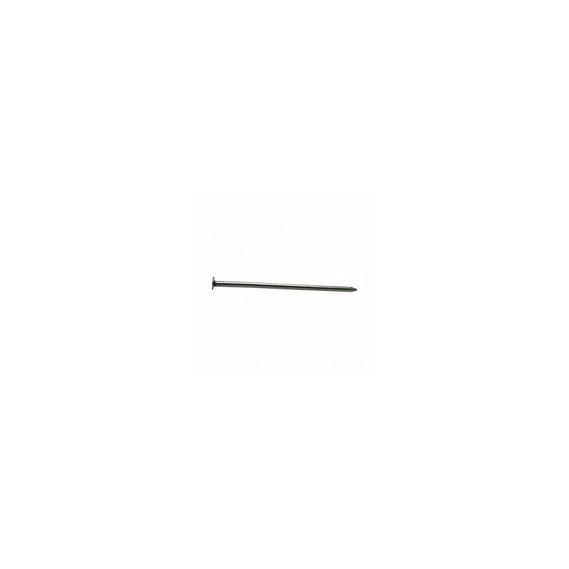 ProFIT 0053208 Common Nail, 20D, 4 in L, Brite, Flat Head, Round, Smooth Shank, 1 lb 20D