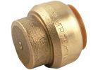 SharkBite Push-to-Connect Brass End Cap 1/2 In.