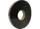 Frost King Expandable Joint-Filler Weatherseal 1 In. X 13 Ft., Black