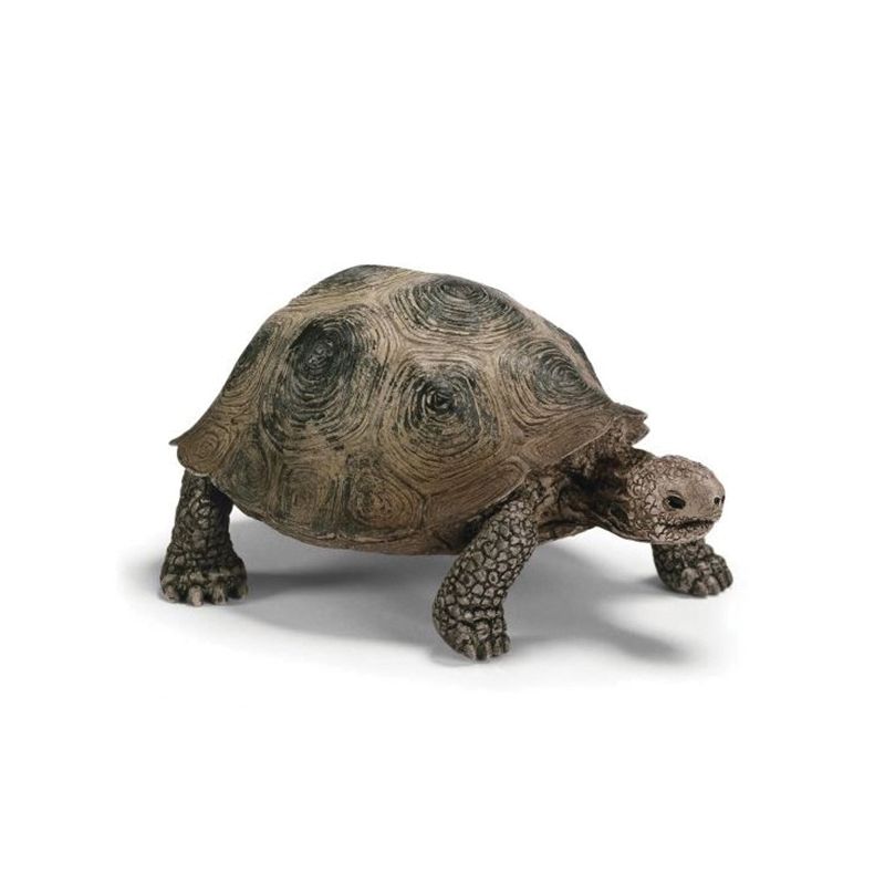 Schleich-S 14601 Figurine, 3 to 8 years, Giant Tortoise, Plastic