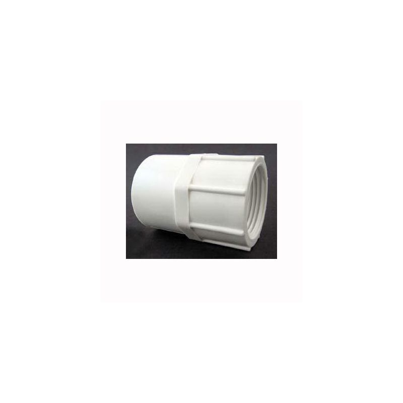 IPEX 435562 Pipe Adapter, 1-1/4 in, Socket x FPT, PVC, White, SCH 40 Schedule, 150 psi Pressure White