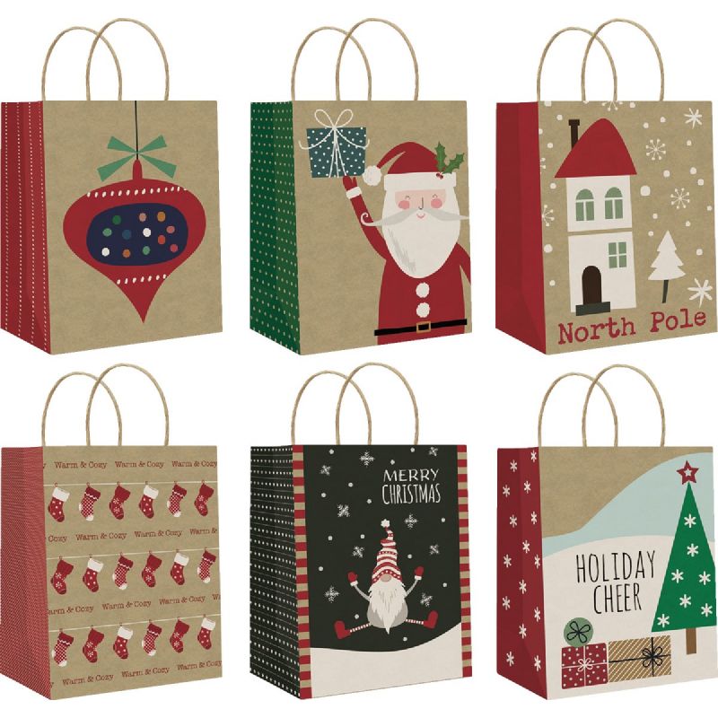 Paper Images 10 In. Gift Bag (Pack of 72)