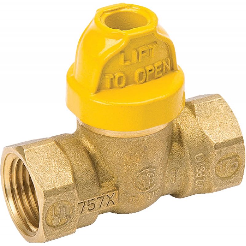 ProLine Gas Ball Valve 1/2 In. FPT X FPT