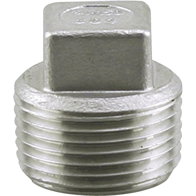 PLUMB-EEZE Stainless Steel Plug 3/8 In. MIP