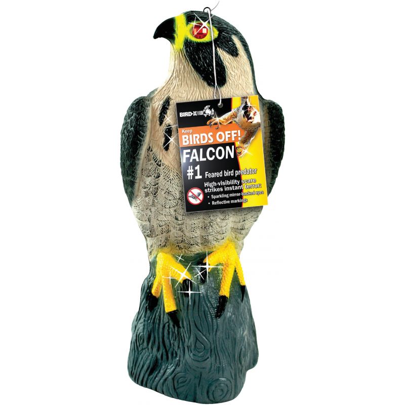 Bird X Falcon Pest Deterrent Decoy 17 In. H. X 8 In. Dia.