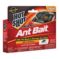 Buy Hot Shot HG-95762 Ant Bait, Liquid Water White