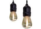 Feit Electric 72122 String Light Set, 120 V, 1 W, 12-Lamp, LED Lamp, Amber Light, 11,000 hr Average Life, 20 ft L