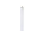 Feit Electric F32T8/941/2 Fluorescent Bulb, 32 W, T8 Lamp, Medium Bi-Pin G13 Lamp Base, 2600 Lumens, 4100 K Color Temp
