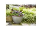 Southern Patio HDR-064787 Planter, 7-2/5 in H, 10 in W, 10 in D, Round, Resin, Rust, Galvanized Rust