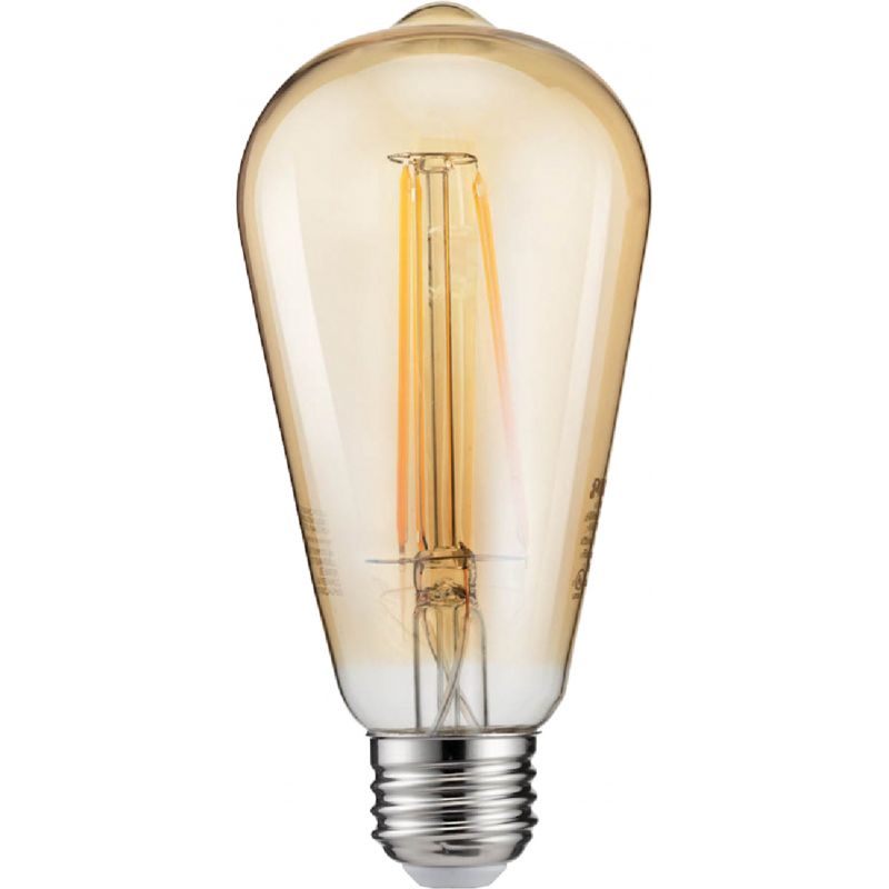 Philips Vintage Edison ST19 Medium LED Decorative Light Bulb
