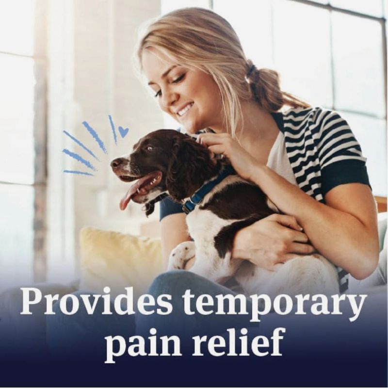 PetArmor Canine Aspirin