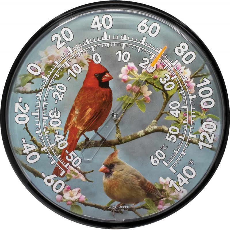 Buy Acu-Rite Cardinal Outdoor Wall Thermometer Blue, White Numbers
