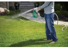 Ortho Weed-B-Gon Weed Killer For St Augustine Grass 32 Oz., Hose End