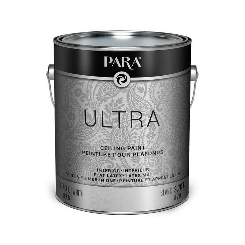 Para PR0040976-20 Ceiling Paint, Flat, White, 18.5 L, Latex, Water White